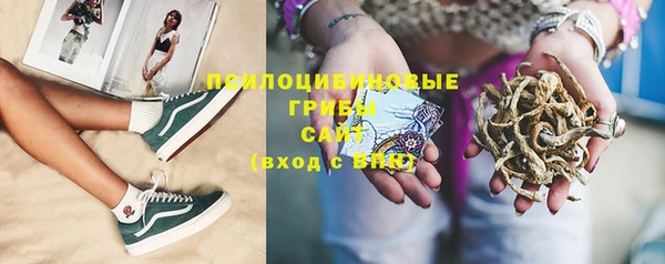 не бодяженный Алзамай