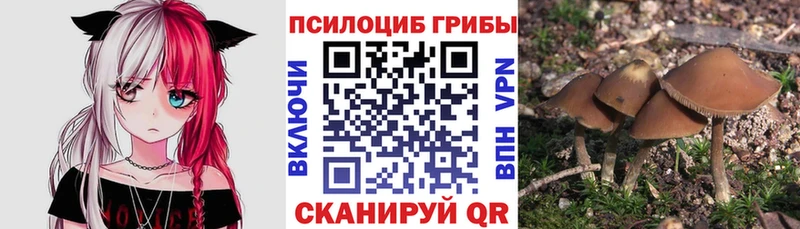 купить наркотики сайты  Макушино  Псилоцибиновые грибы мухоморы 